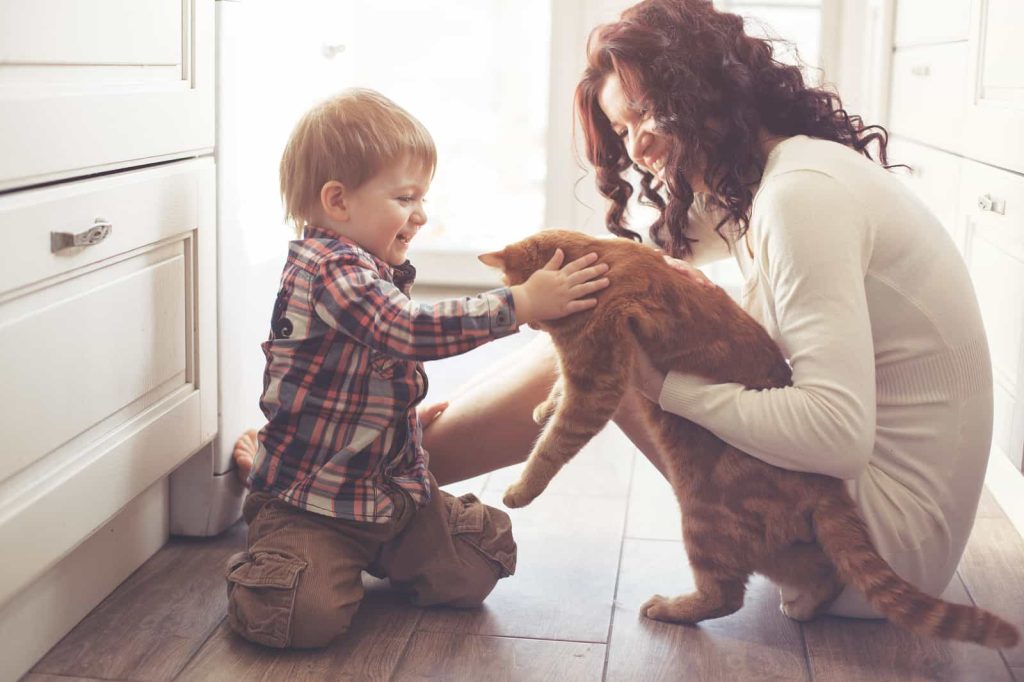 A woman and a young child are sitting on a kitchen floor playing with an orange cat. The child, wearing a plaid shirt and khaki pants, is reaching out to pet the cat. The woman, smiling, is holding the cat gently. Sunlight filters through a window behind them.