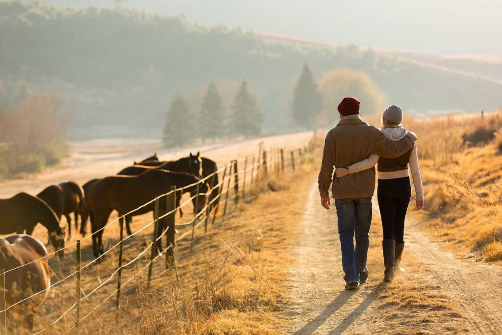A couple walks arm-in-arm down a dirt path beside a horse pasture on a sunny day. The man wears a brown jacket and red beanie, while the woman wears a gray jacket and hat. The landscape includes trees and hills in the background, with several horses grazing nearby.